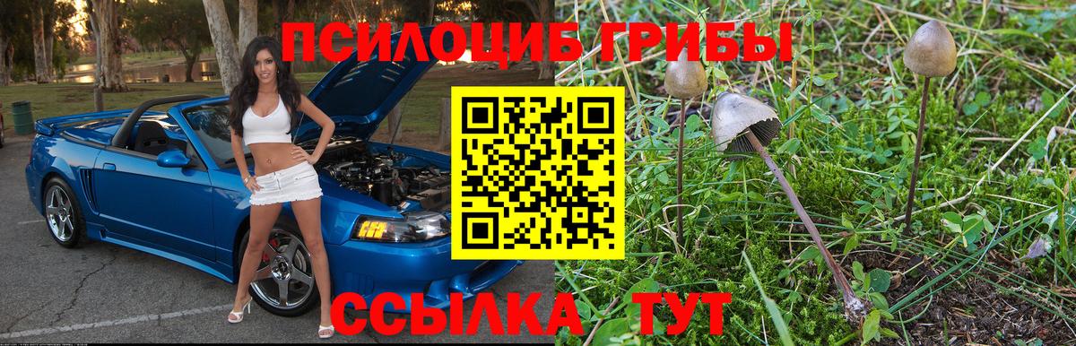 Галлюциногенные грибы ЛСД  Псилоцибиновые грибы Magic Shrooms  Вход с VPN  Севастополь 
